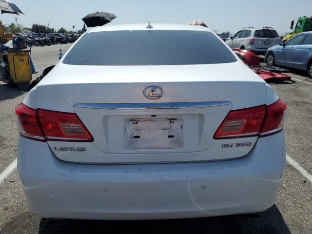 2010 Lexus ES 350