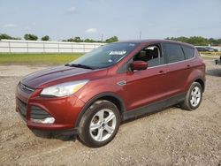 Ford Escape se salvage cars for sale: 2016 Ford Escape SE