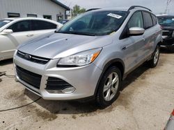 Salvage cars for sale at Pekin, IL auction: 2014 Ford Escape SE