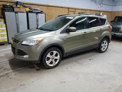 Salvage cars for sale at Kincheloe, MI auction: 2014 Ford Escape SE
