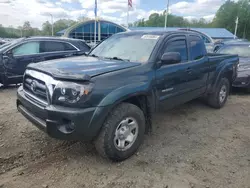 Salvage trucks for sale at East Granby, CT auction: 2009 Toyota Tacoma Access Cab
