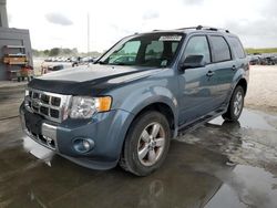 Vehiculos salvage en venta de Copart West Palm Beach, FL: 2012 Ford Escape Limited