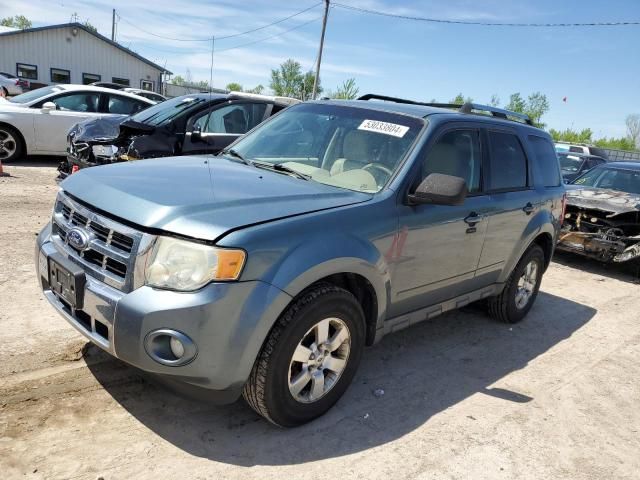 2010 Ford Escape Limited