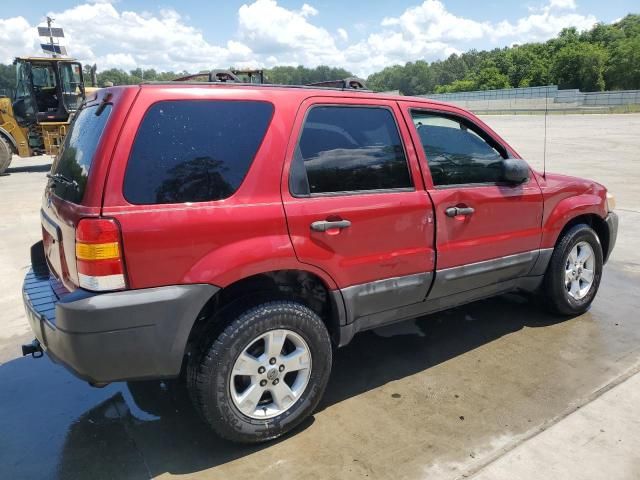 2006 Ford Escape XLT