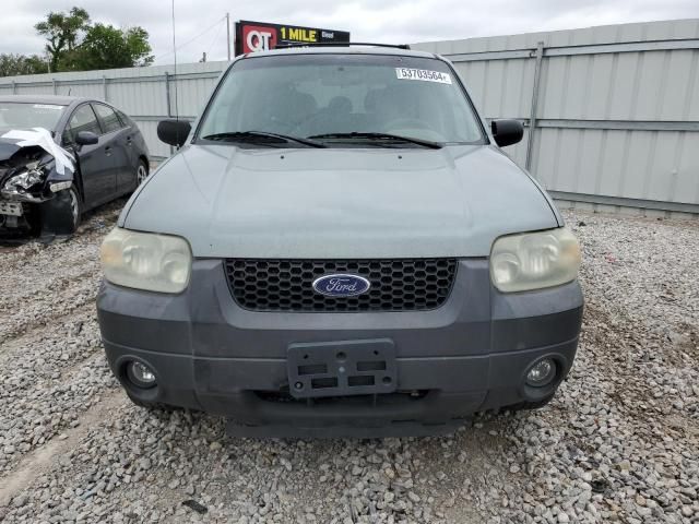 2005 Ford Escape XLT