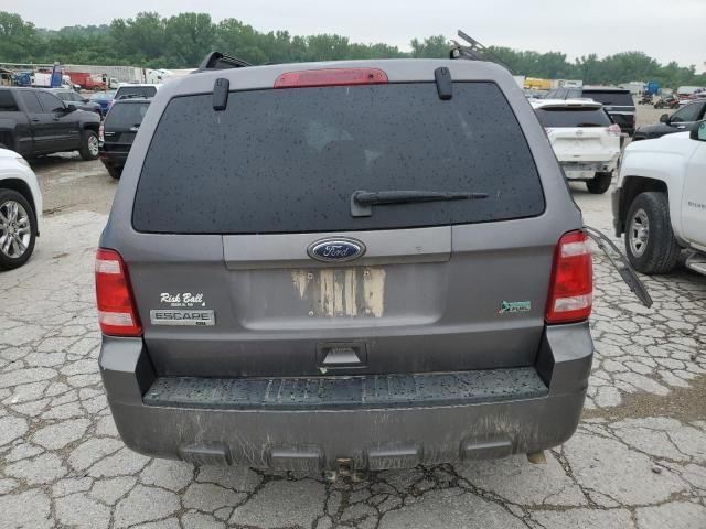 2010 Ford Escape XLT