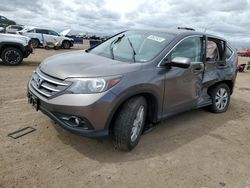 Salvage cars for sale at Brighton, CO auction: 2014 Honda CR-V EX