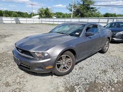 Salvage cars for sale from Copart Windsor, NJ: 2011 Ford Mustang