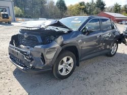 Toyota rav4 salvage cars for sale: 2019 Toyota Rav4 XLE