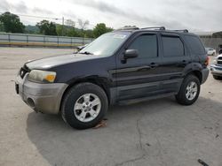 Salvage cars for sale at Lebanon, TN auction: 2005 Ford Escape XLT