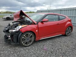 Salvage cars for sale from Copart Ontario Auction, ON: 2016 Hyundai Veloster Turbo