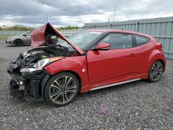 Hyundai Veloster Turbo salvage cars for sale: 2016 Hyundai Veloster Turbo