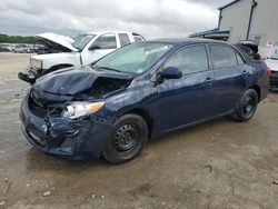 Salvage cars for sale at Memphis, TN auction: 2011 Toyota Corolla Base