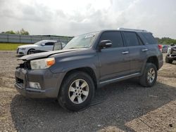 Toyota 4runner salvage cars for sale: 2012 Toyota 4runner SR5