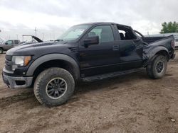 Salvage SUVs for sale at auction: 2011 Ford F150 SVT Raptor