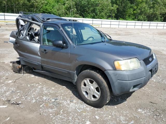 2004 Ford Escape XLT