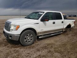 Vehiculos salvage en venta de Copart Greenwood, NE: 2011 Ford F150 Supercrew