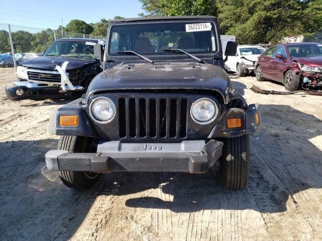 2002 Jeep Wrangler / TJ X