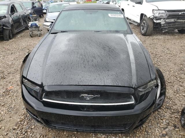 2013 Ford Mustang