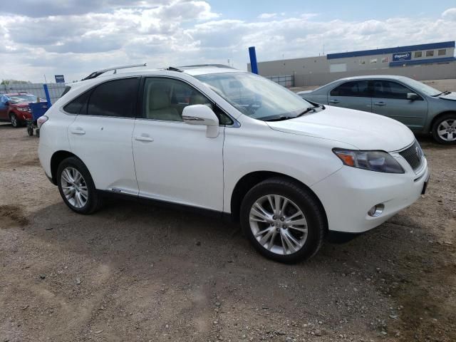 2010 Lexus RX 450