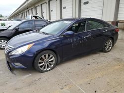 Salvage cars for sale from Copart Louisville, KY: 2013 Hyundai Sonata SE