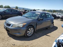 Honda Accord EXL salvage cars for sale: 2009 Honda Accord EXL