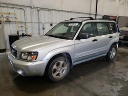 Salvage cars for sale at Avon, MN auction: 2004 Subaru Forester 2.5XS