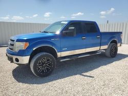 Salvage cars for sale at Arcadia, FL auction: 2013 Ford F150 Supercrew