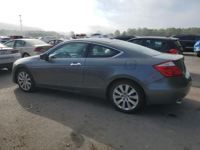 2009 Honda Accord EXL