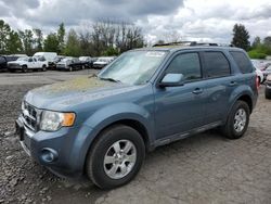 Salvage cars for sale at Portland, OR auction: 2011 Ford Escape Limited