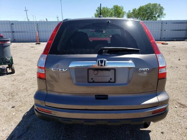 2010 Honda CR-V EXL