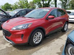 Salvage cars for sale at Bridgeton, MO auction: 2020 Ford Escape SE