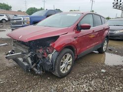 Salvage cars for sale at Columbus, OH auction: 2019 Ford Escape SE