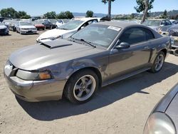 2001 Ford Mustang GT en venta en San Martin, CA