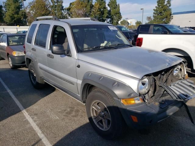 2005 Jeep Liberty Renegade