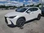 2023 Lexus NX 450H