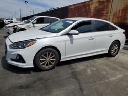 Hyundai Sonata se salvage cars for sale: 2019 Hyundai Sonata SE