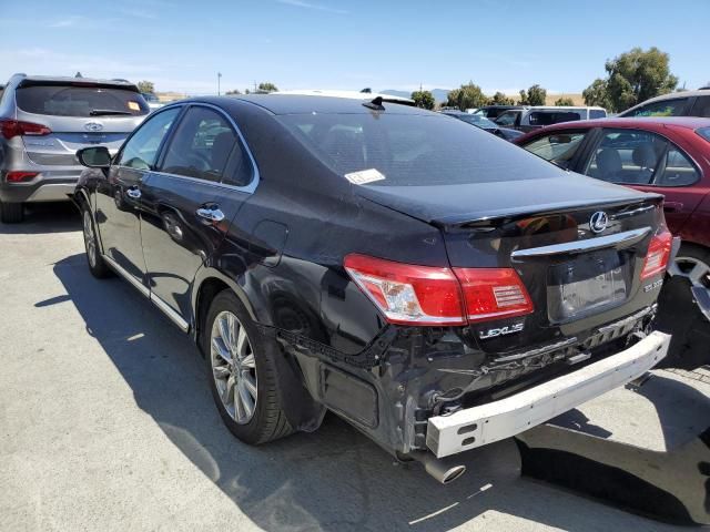 2010 Lexus ES 350