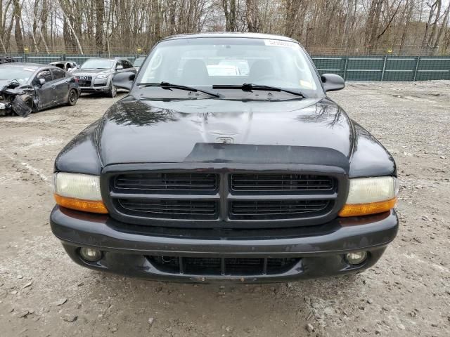 2001 Dodge Dakota