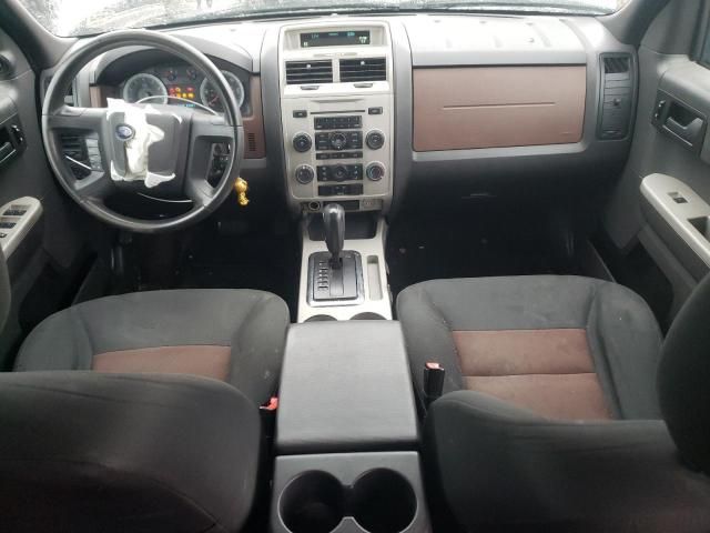 2008 Ford Escape XLT