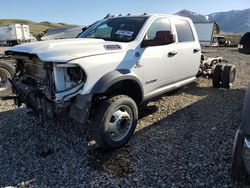 Dodge RAM 5500 Vehiculos salvage en venta: 2020 Dodge RAM 5500