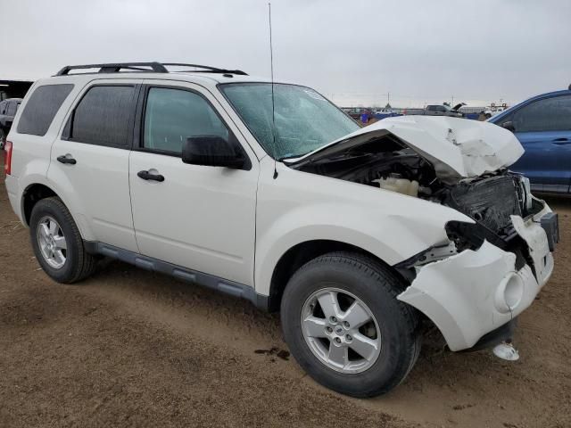 2010 Ford Escape XLT