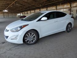 Salvage cars for sale at Phoenix, AZ auction: 2014 Hyundai Elantra SE