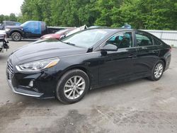 Salvage cars for sale from Copart Glassboro, NJ: 2019 Hyundai Sonata SE