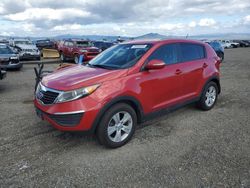 KIA Sportage lx salvage cars for sale: 2013 KIA Sportage LX