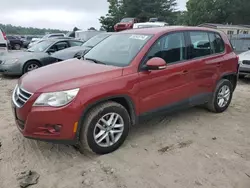 Salvage cars for sale at Seaford, DE auction: 2011 Volkswagen Tiguan S