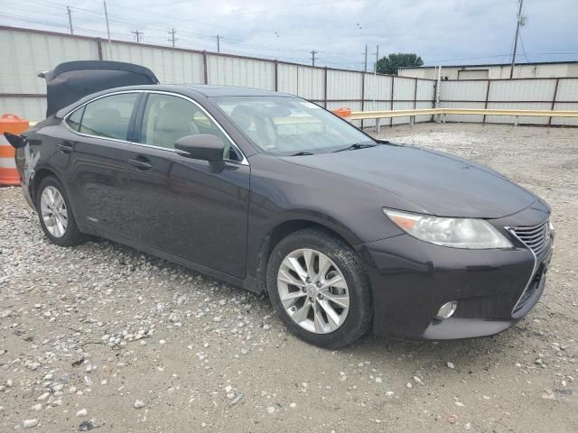 2013 Lexus ES 300H