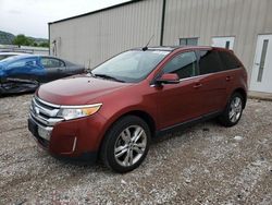 Salvage cars for sale at Lawrenceburg, KY auction: 2014 Ford Edge Limited