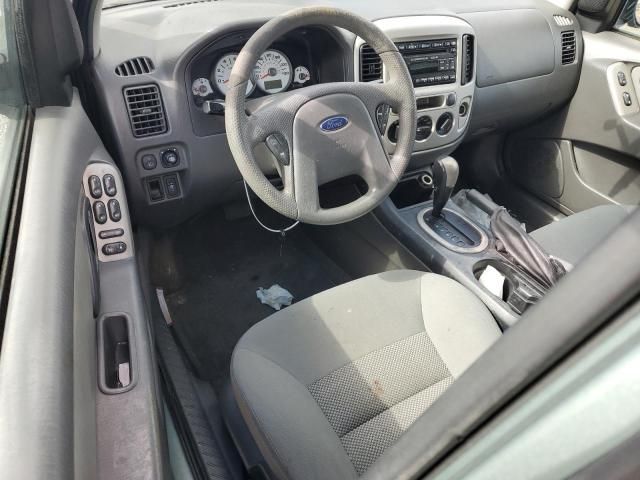 2007 Ford Escape XLT