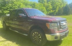 Buy Salvage Trucks For Sale now at auction: 2010 Ford F150 Supercrew